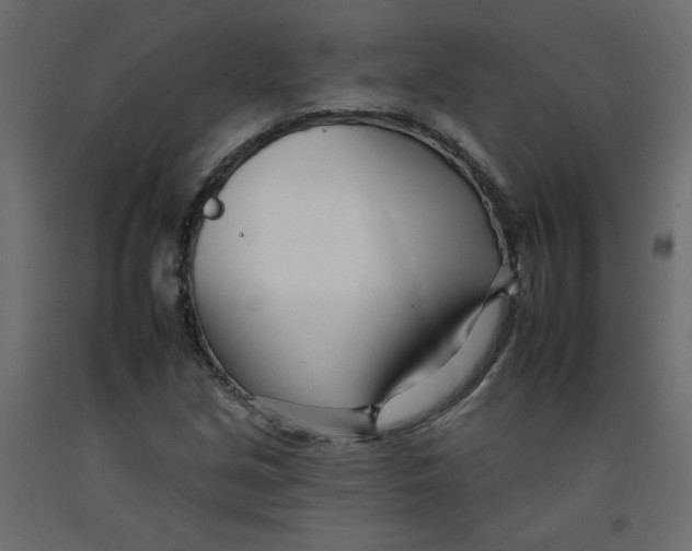 X0000092261213200710121332