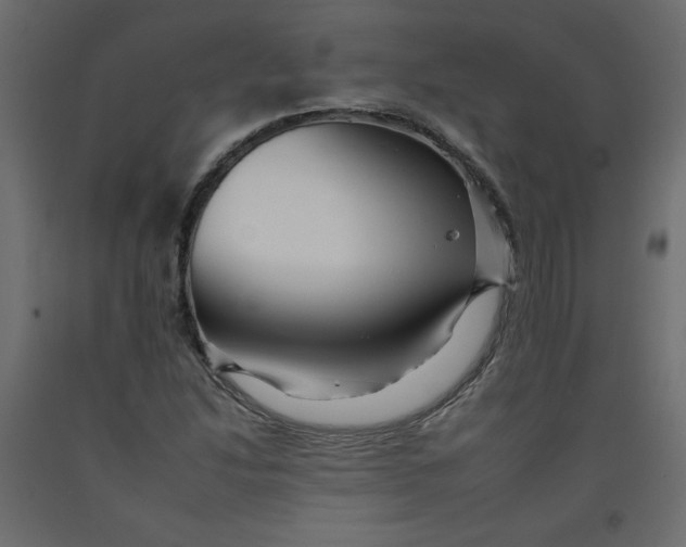 X0000092261214200710121332