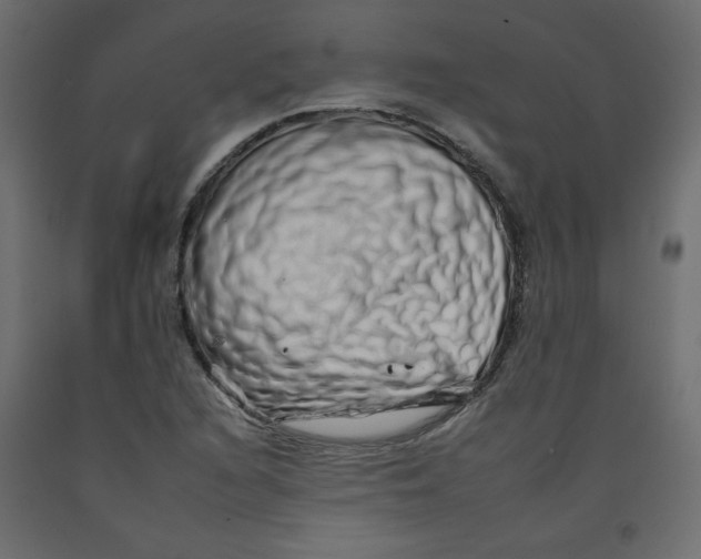 X0000092261216200710121332