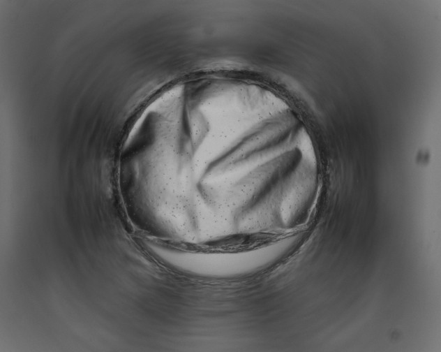 X0000092261217200710121332