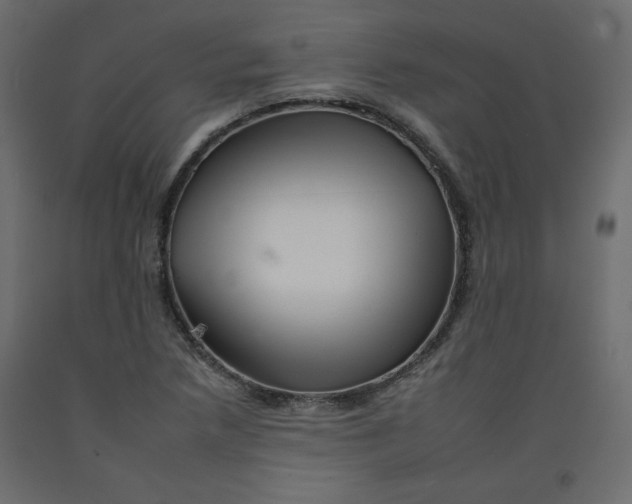 X0000092261218200710121332