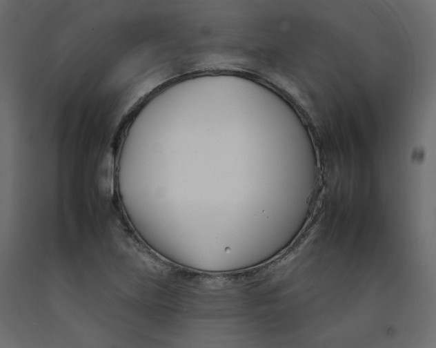 X0000092261219200710121332