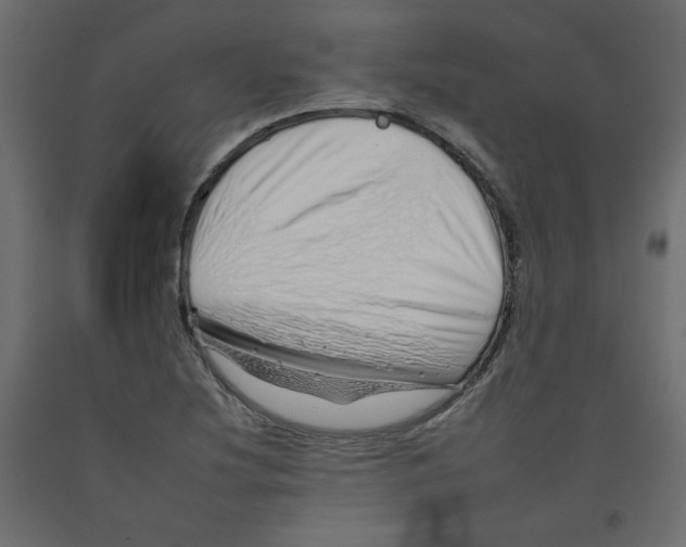 X0000092261220200710121332