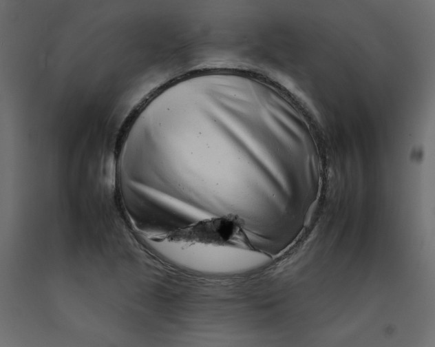 X0000092261221200710121332