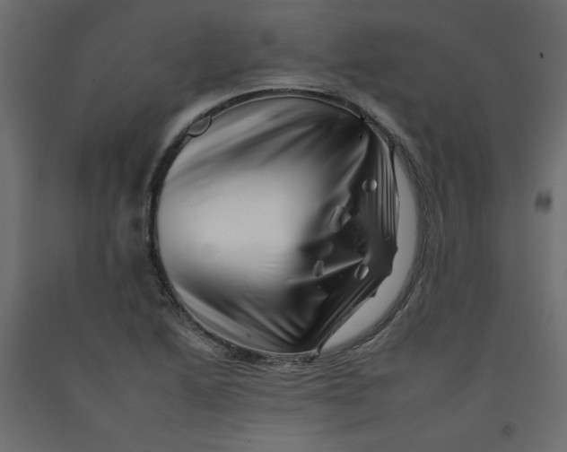 X0000092261222200710121332