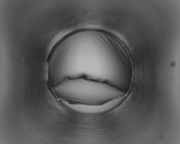 X0000092261223200710121332