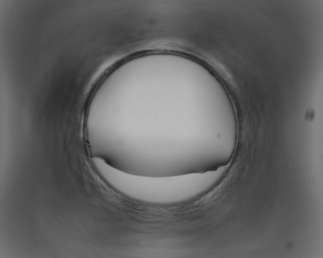 X0000092261224200710121332