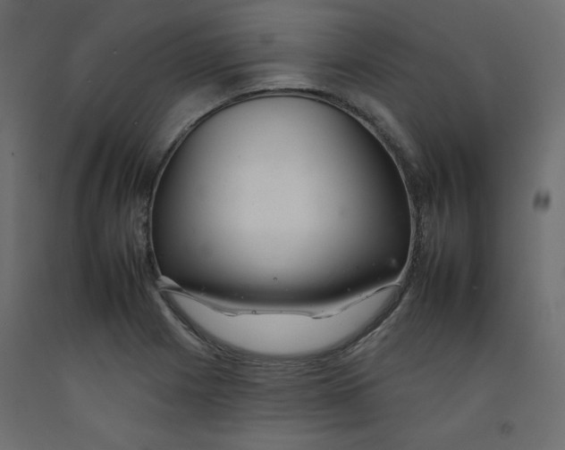 X0000092261225200710121332