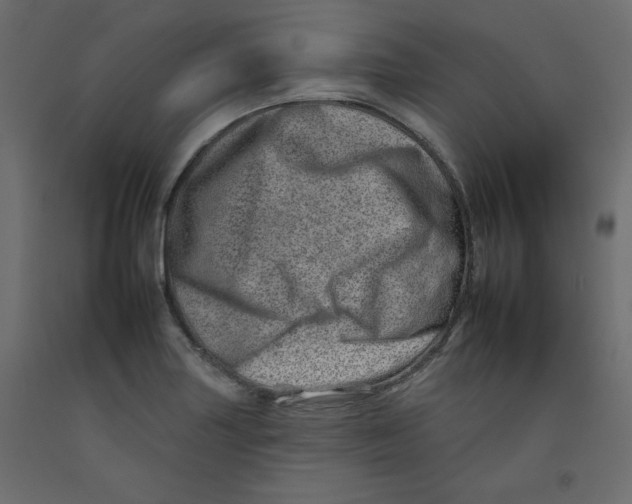 X0000092261227200710121332