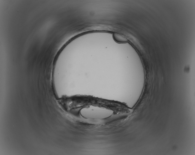 X0000092261228200710121332