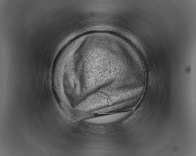 X0000092261229200710121332