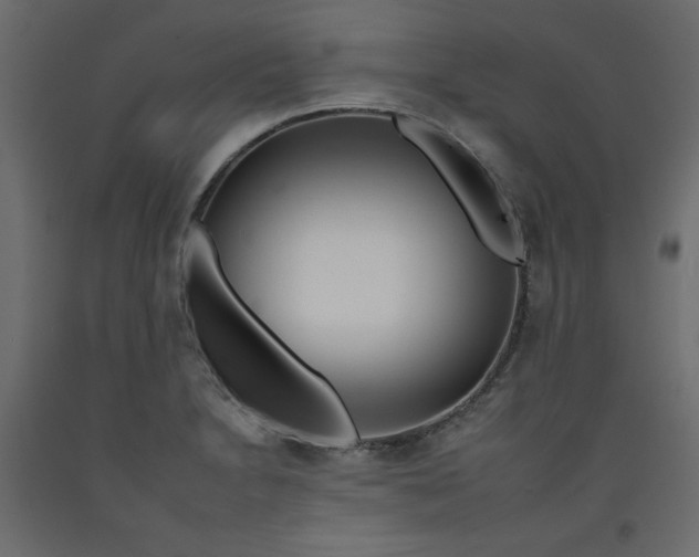 X0000092261230200710121332