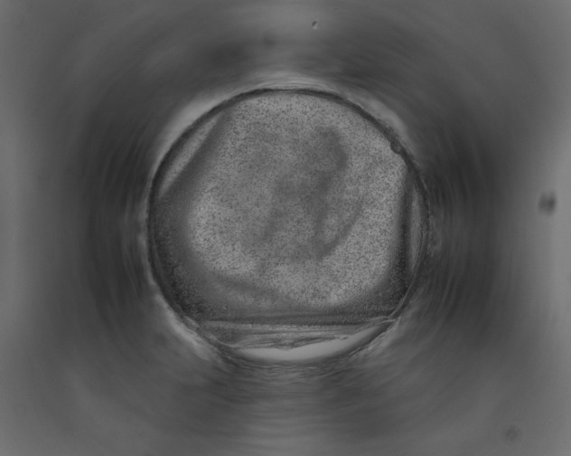 X0000092261231200710121332