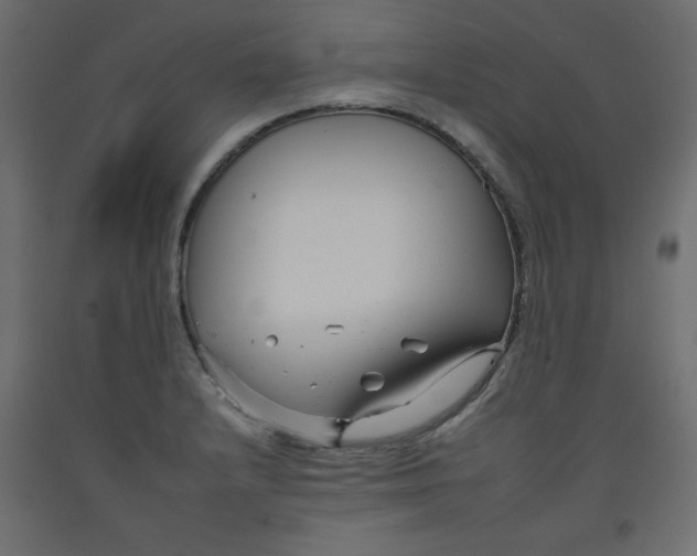 X0000092261232200710121332