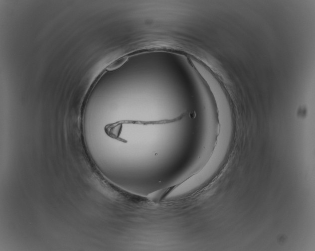 X0000092261234200710121332