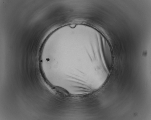 X0000092261235200710121332