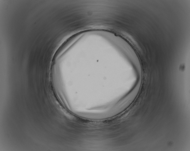 X0000092261236200710121332