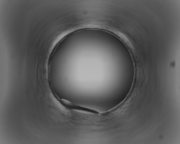 X0000092261238200710121332