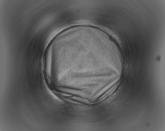 X0000092261239200710121332