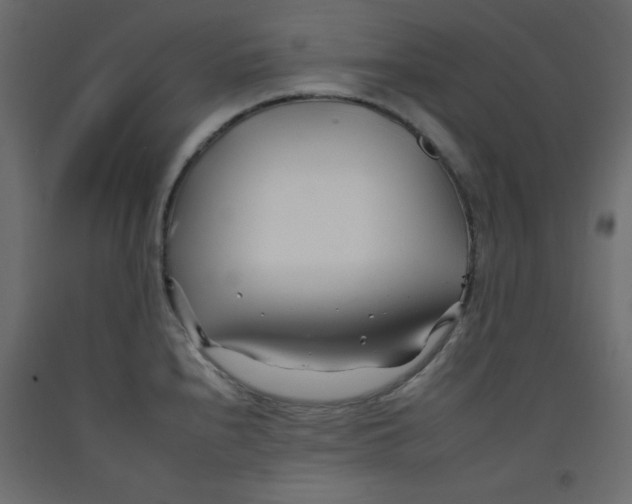 X0000092261240200710121332