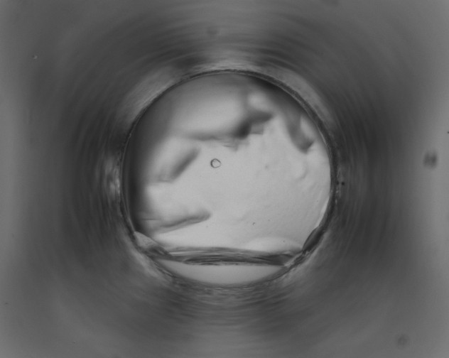 X0000092261241200710121332