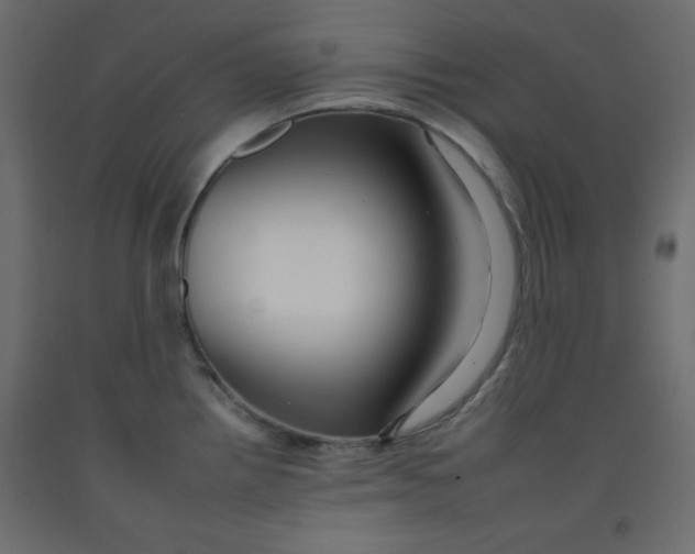 X0000092261242200710121332