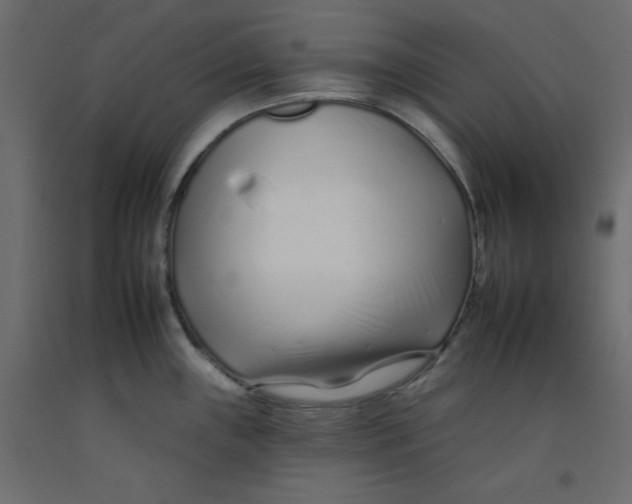 X0000092261243200710121333