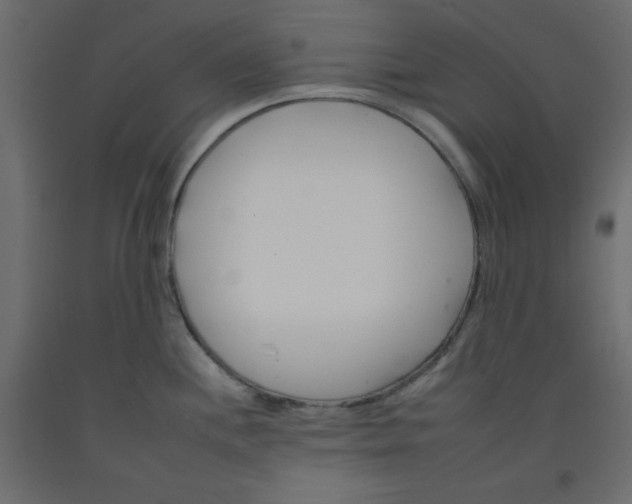 X0000092261244200710121333