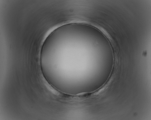 X0000092261246200710121333