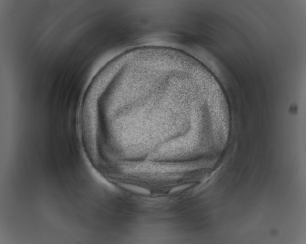 X0000092261247200710121333