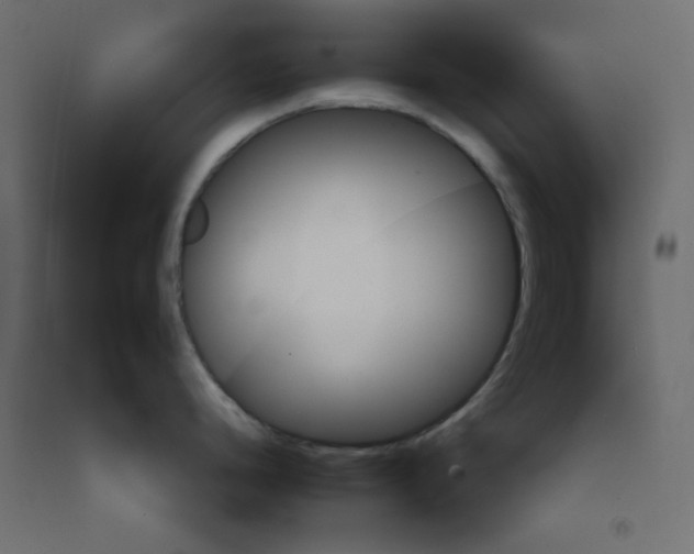 X0000092261248200710121333