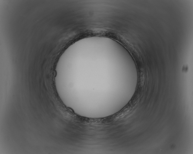 X0000092261249200710121332