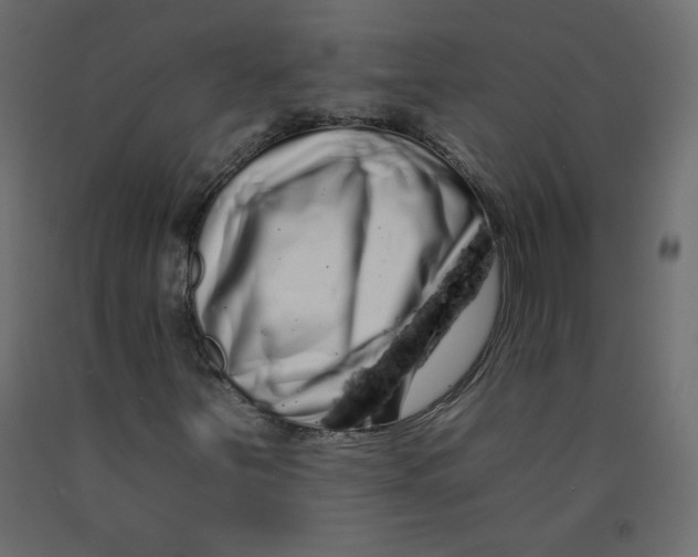 X0000092261251200710121332