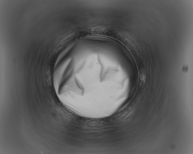 X0000092261252200710121332