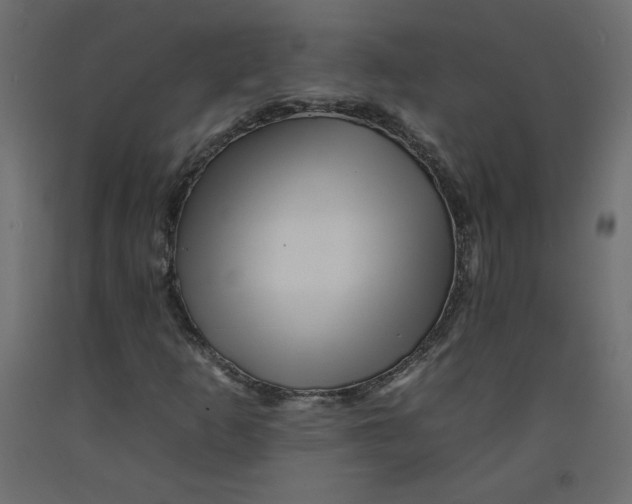 X0000092261253200710121332