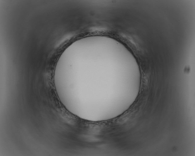 X0000092261254200710121332