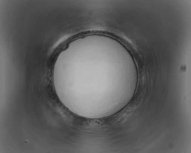 X0000092261255200710121332