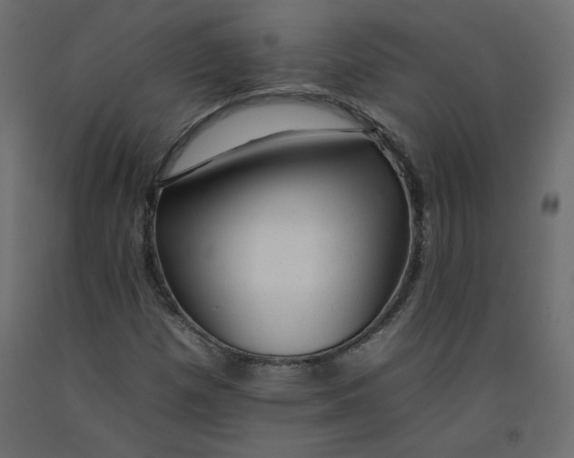 X0000092261257200710121332