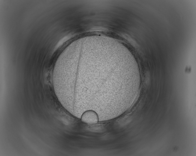 X0000092261258200710121332