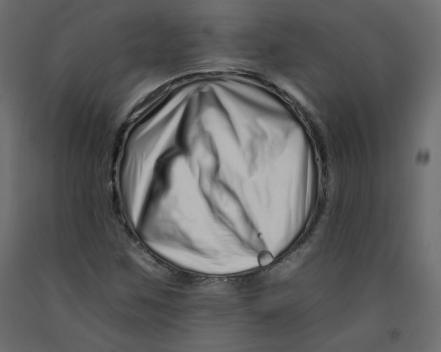 X0000092261259200710121332