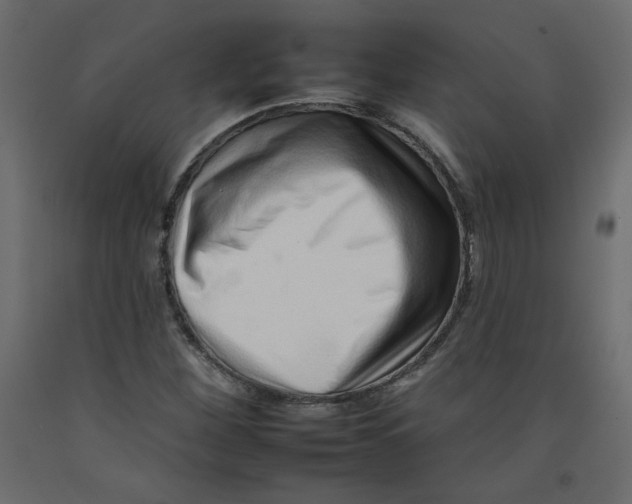 X0000092261260200710121332