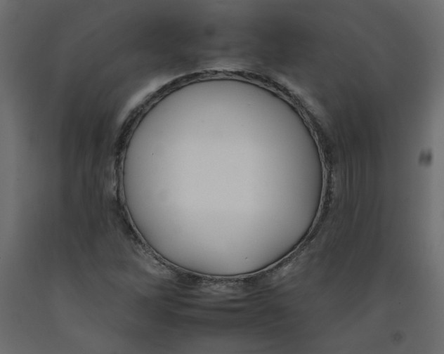 X0000092261262200710121332