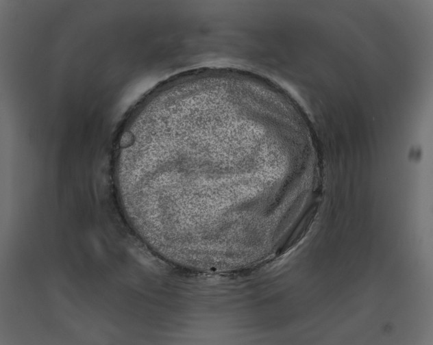 X0000092261263200710121332