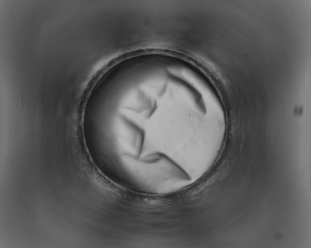 X0000092261264200710121332