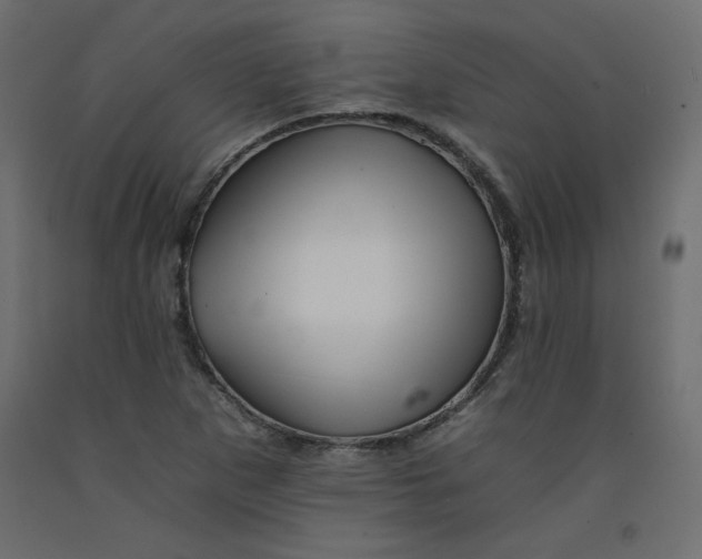 X0000092261265200710121332