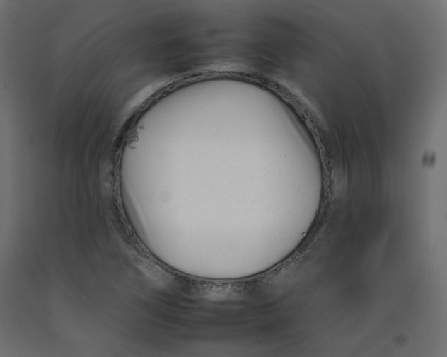 X0000092261266200710121332