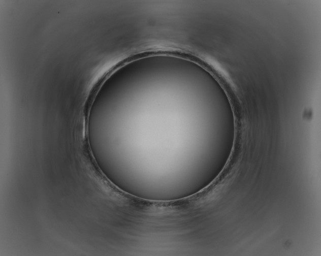 X0000092261269200710121332