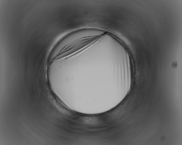 X0000092261272200710121332