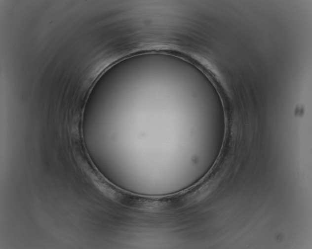 X0000092261273200710121332