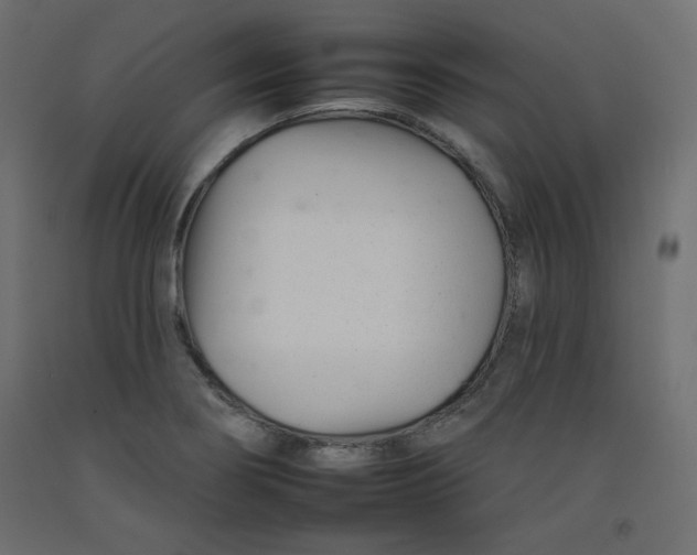 X0000092261274200710121332